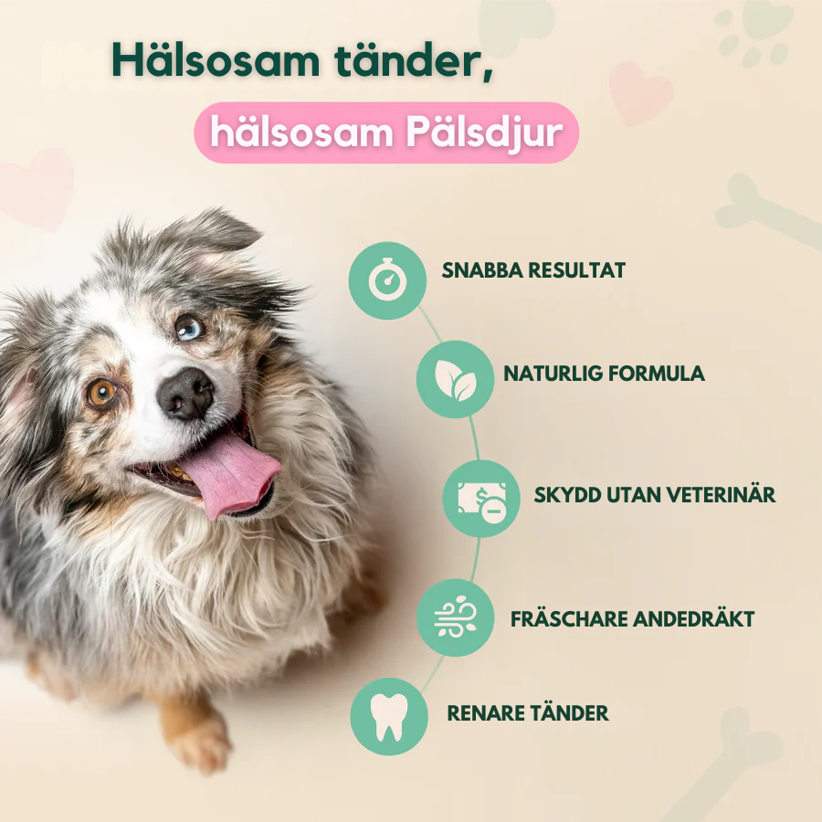 DentalClean - För Hundar och katter